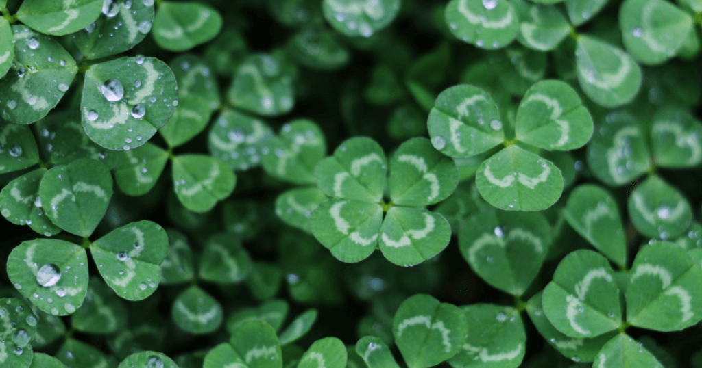 The LUCK Acronym: A New Look at Distance Learning